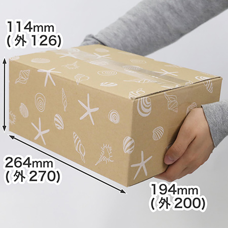 【宅配60サイズ】デザインダンボール箱(海びより)