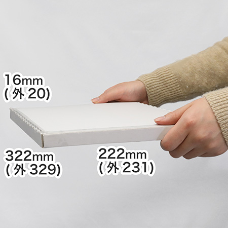 【A4/厚さ2cm/表面白】クロネコDM便・ゆうパケット対応ケース-1