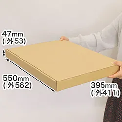 ワイシャツや背広(スーツ)の発送に便利。片開きのN式段ボール