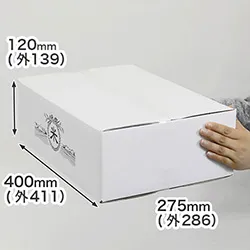 お米10kg用ダンボール箱-宅配100サイズ(白)
