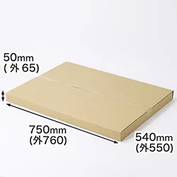 B2サイズ対応、深さ50mmの浅型ダンボール箱(タトウ式タイプ)|犬用トイレトレーの梱包にも