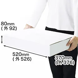 3辺合計100cm|深さ8cm|B3用紙対応|ポスター・パネル・キャンバス|引越し・通販商品の発送向け