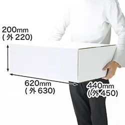 A2用紙対応|深さ20cm|アパレル・ファッション用品|スキーブーツ・スノーボードブーツの梱包にも