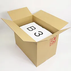 宅配160サイズ対応の広告(60サイズ表記)入り梱包ダンボール箱