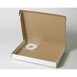 油絵額4号FサイズにもピッタリのN式額縁箱