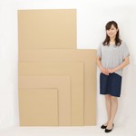 ダンボールシート【M】-2