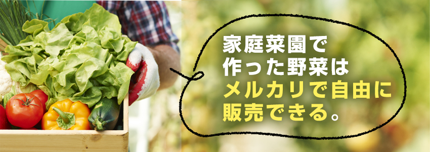 メルカリで野菜は販売できる?5つのメリットも紹介